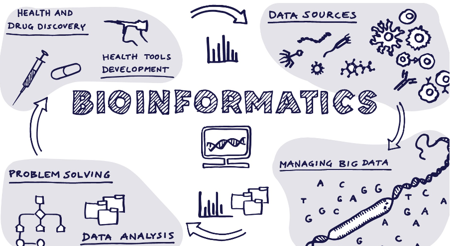 Bioinformatics Tools